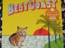 Best Coast Crazy For You LP Green Vinyl SEALED OOP