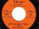 GARAGE 45 THE GRODES L.A. GROUP 60s RARE LISTEN ENTIRE
