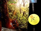 1970 Orig DOUGLAS FIR   HARD Moody Doors Blues Psych