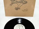Silversun Pickups *Pikul* RARE 10