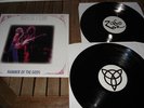 LED ZEPPELIN - 2LP -  LIVE -  