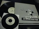 STEVE HAYES made in tulsa LO FI PUNK daniel johnston