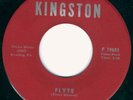 Flowerz-Flyte '67 PA punkadelic masterpiece MINT HEAR