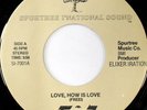 rare Modern Soul 45 FRITZ love, how is love SPURTREE