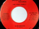 rare Modern Soul 45 FIRST FAMILY slow motion SCORE