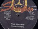 YAMMIE BOLO 12