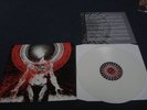 KILLING THE DREAM IN PLACE APART LP BRIDGE 9,SXE,HARDCO