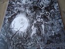 BAPTISM-The Beherial Midnight   LP