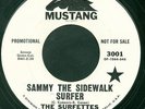 RARE SURF 45 The Surfettes 