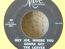Leaves-Hey Joe Where You Gonna Go-ORIG LONG Title 45