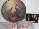 DESASTER Stormbringer Picture Disc MLP 12