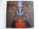 DISMEMBER like an ever flowing stream LP  NEU