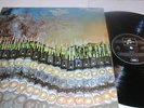ACCOLADE LP SCX6405,VG+TONEX/NEXTOEX,1970 ORIGINAL