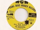 THE SHAM-ETTES 45 Record 60s Garage BIG BAD WOLF VG++