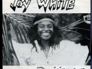 Joy White - The Rising Sun Germany 45 pic Listen