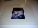 The Homosexuals LP Recommended Black Noise NM fodder