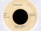 Dossie Terry on King 5072 R&B 45 Test Pressing Hear