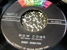 Bobby Hamilton 45 Apt How Come R/R