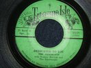 THE JAMAICANS - DEDICATED TO YOU  45