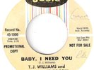 NORTHERN SOUL  T J  WILLIAMS  