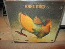 RARE BIRD self titled S/T LP HEAVY PSYCH BREAKS Hear