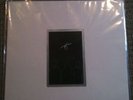 Six Organs of Admittance Days of Blood LP