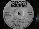 King General Money Run Tings - Conscious Sound 10inch