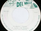1960s texas CHICANO rock-n-roll 45/CONJUNTO BERNAL/?