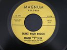 MODEL T SLIM  BLUES/R&B/SOUL ON MAGNUM  (HEAR IT) 2