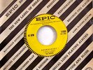 The Jaguars Jaguar/Roundabout Garage Surf Rocker 45 rpm