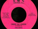 Funk 45 THE KATS Under The Covers on E&C