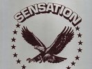 rare private psych folk LP  SENSATION  sealed