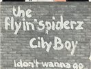 ? FLYIN' SPIDERS - City Boy 7'' / DUTCH PUNK '77 ?