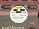 Elvis ARGENTINA 1962 She’s Not You WLP COMPACT 33 Wow