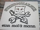 SYKURMOLARNIR-EINN MOLA A MANN BJORK SUGARCUBES RARE