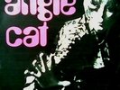 ANGIE CAT SINGLE SPAIN 1969 MOD FREAKBEAT GIRL
