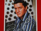 Elvis 