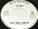KILLER 60s GARAGE 45 THE OTHERS I Can't Stand This Love