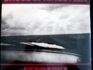 Bruce Springsteen / Nebraska / Sealed Unopened GREAT