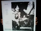 Harry Pussy - S/T LP Siltbreeze 1993 NOISE RARE N.Mint