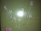 MODEST MOUSE 
