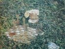 KOZMIC MUFFIN - SPACE BETWEEN GRIEF AND COMFORT - NEW 