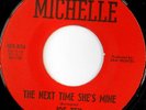 rare Soul 45 JOE TEX on MICHELLE Listen