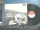 White Plains, White Plains, Deram SML 1067, 1970