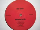 Lost Cause-Hot Like Flames EP RARE INDIE RAP 97'