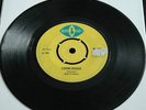 MAYTONES / Roy Samuel - Loving Reggae - 1969 BLUE CAT