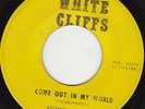 NORTHERN SOUL 45 RPM - SUNNY RIDELL on WHITE CLIFFS