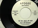 BRIAN WILSON RELATED 45 - YES SIR, THAT'S MY BABY