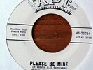 The Consorts Please Be Mine  Rare Orig 45 Doo Wop VG++