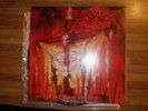 DESASTER Hellfire's Dominion Merciless NIFELHEIM SABBAT
